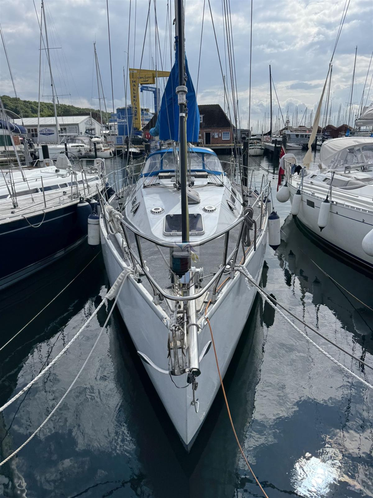 baron yachtbau Baron 38