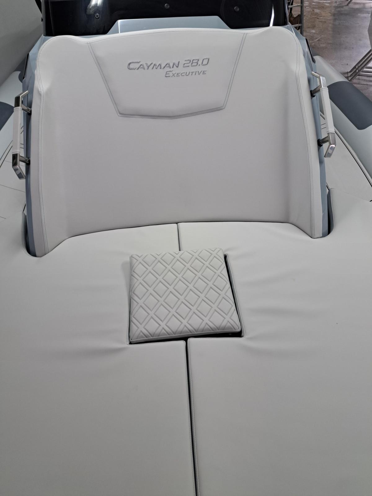 ranieri international Cayman 28 executive