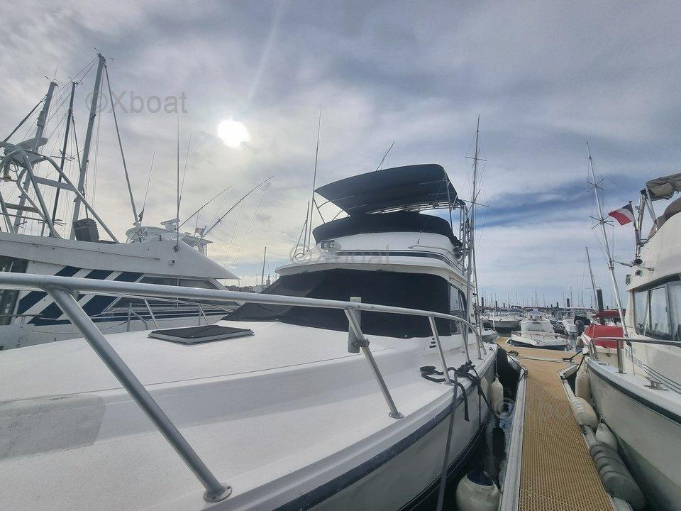 blackfin Blackfin 38 convertible