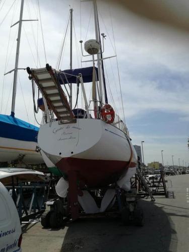 Sciarelli 47 marchi