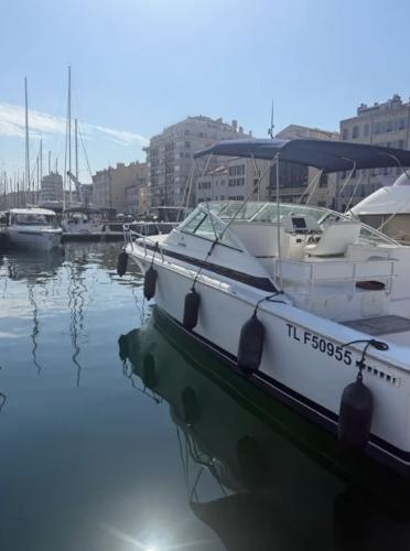 Bertram 36 moppie