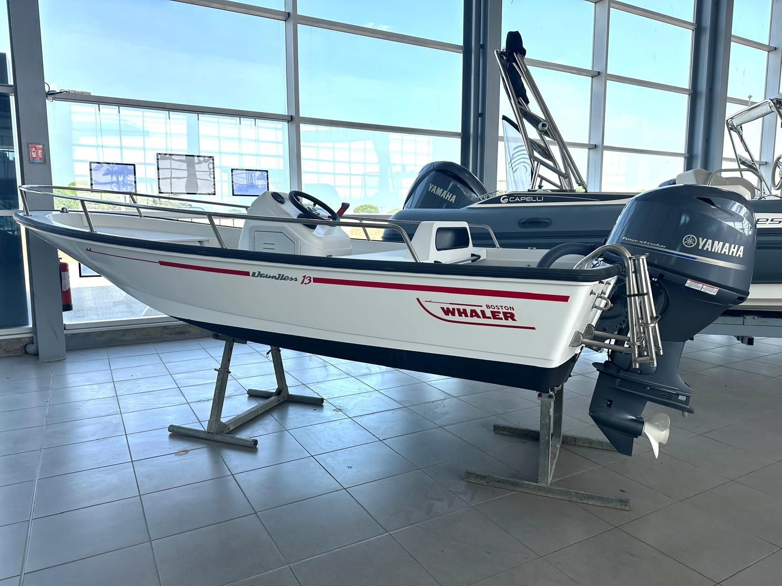 boston whaler 13 dauntless