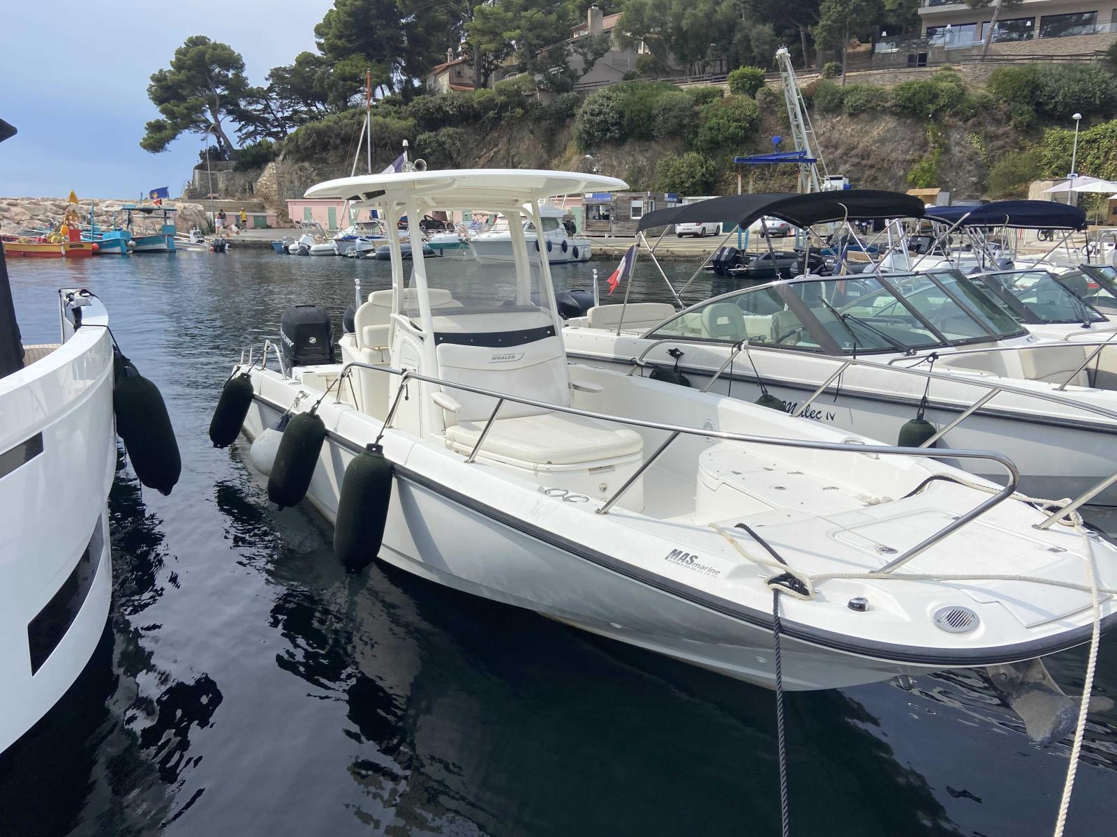 boston whaler 270 dauntless