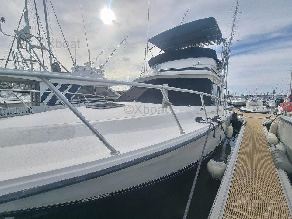 blackfin Blackfin 38 convertible