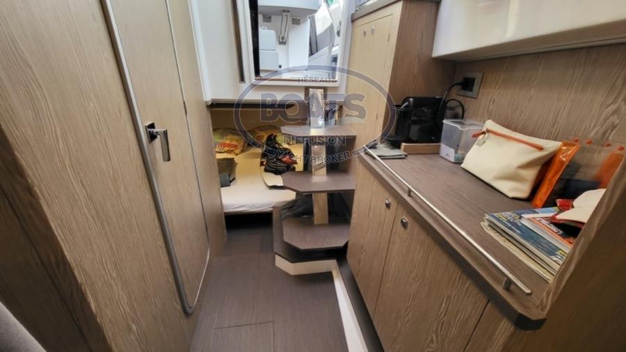 salpa Salpa soleil 42