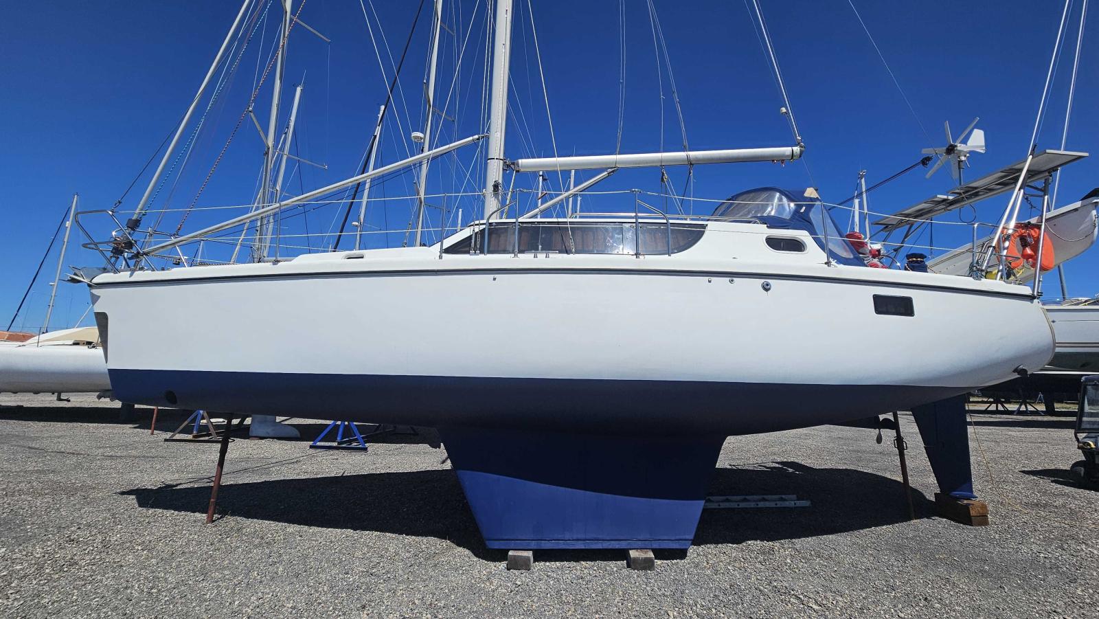 wrighton Bi loup 36
