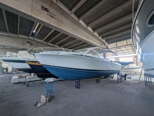 Bertram yacht 28' moppie