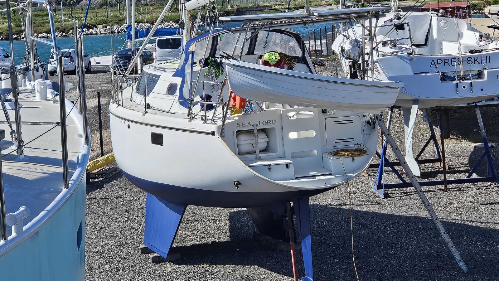 wrighton Bi loup 36