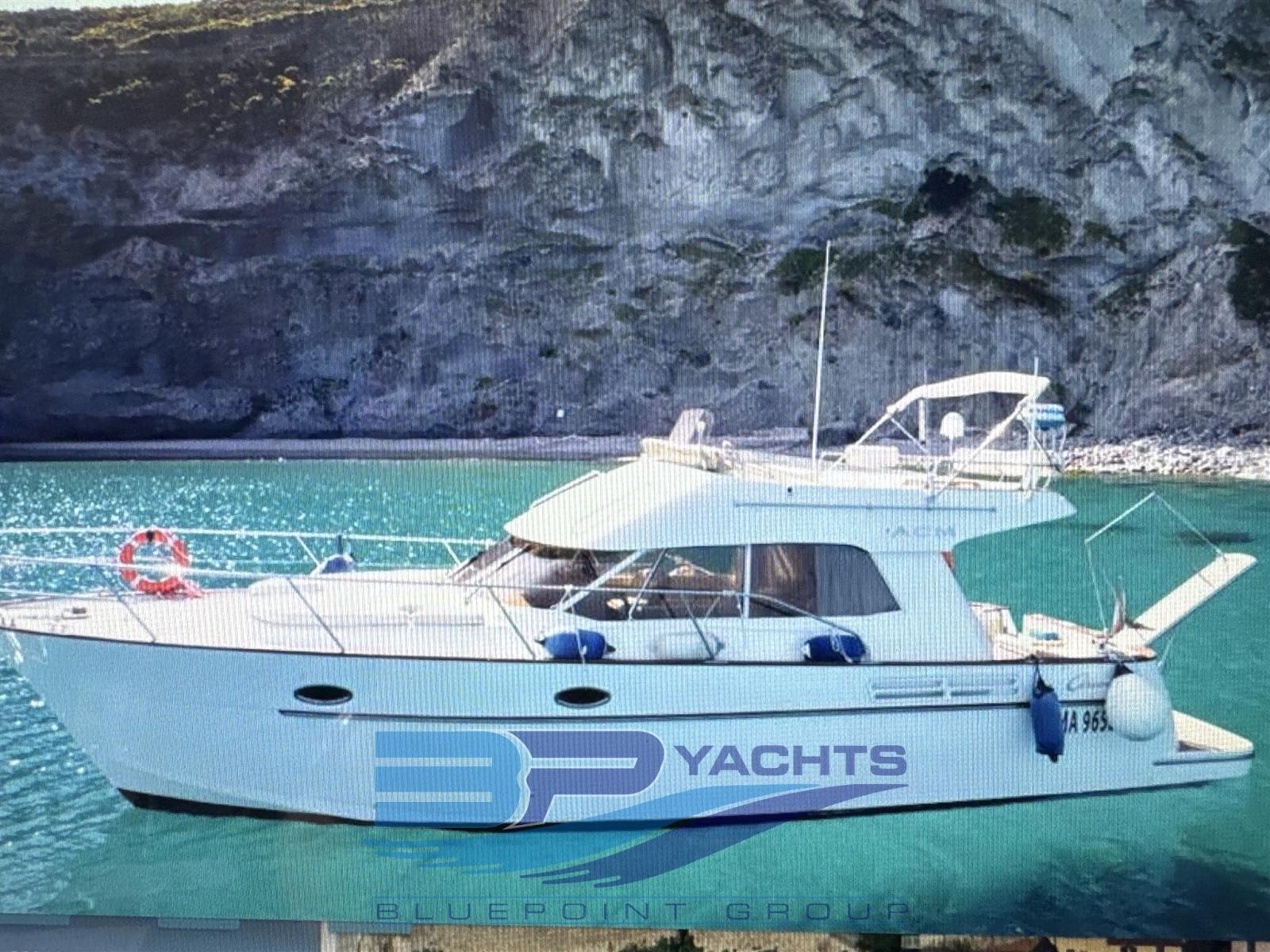 acm Excellence 38