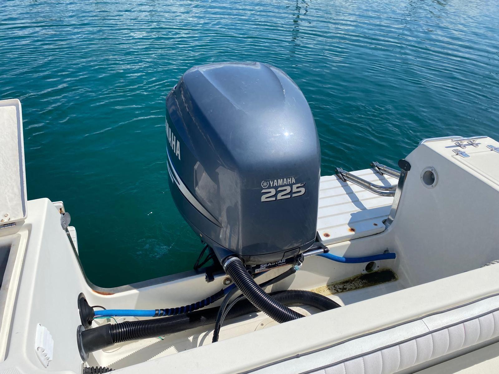 white shark 226 timonier