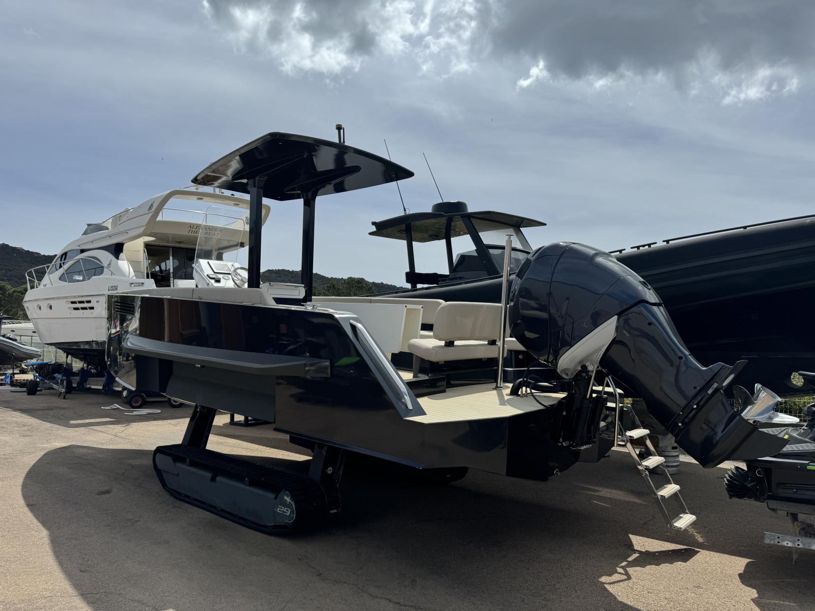 iguana 29