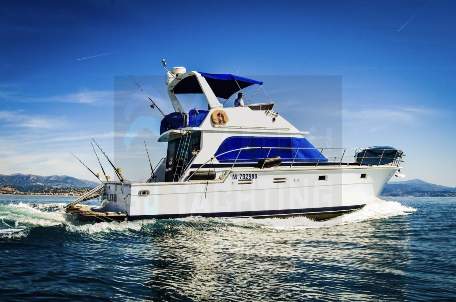 hi star marine 48 fisherman