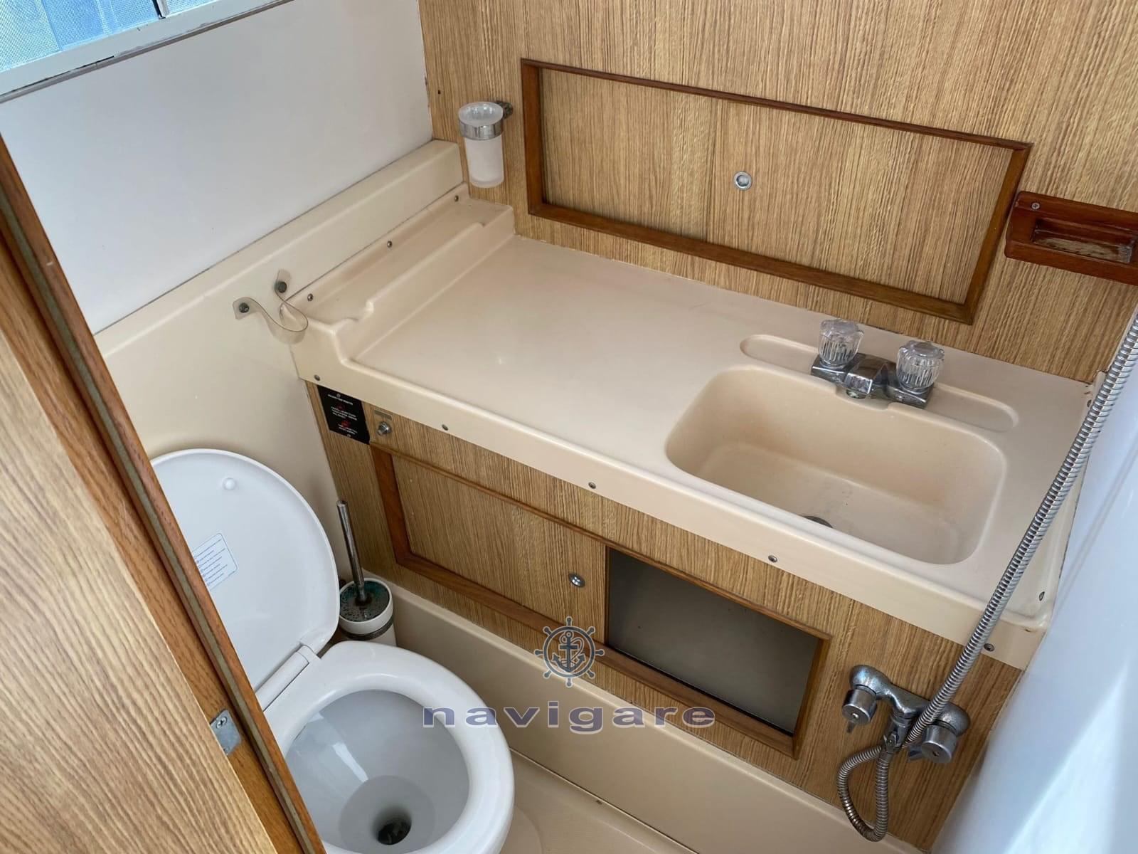 bertram yacht 28' sf