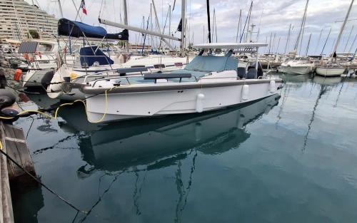 Axopar axopar 29 sun top