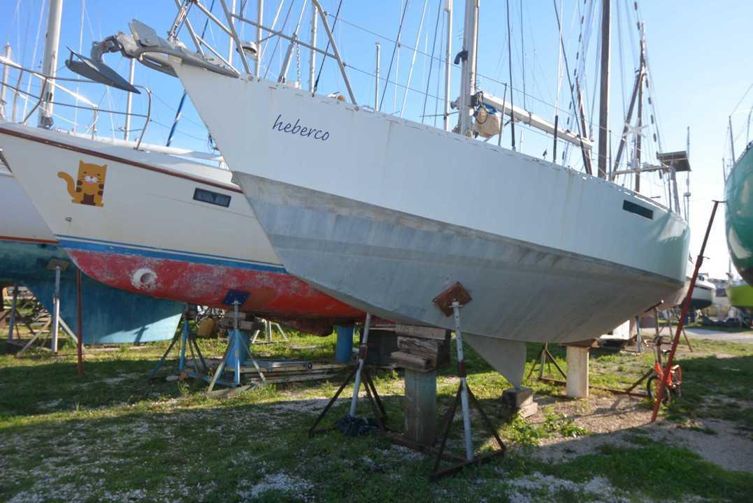 prometa Dalu