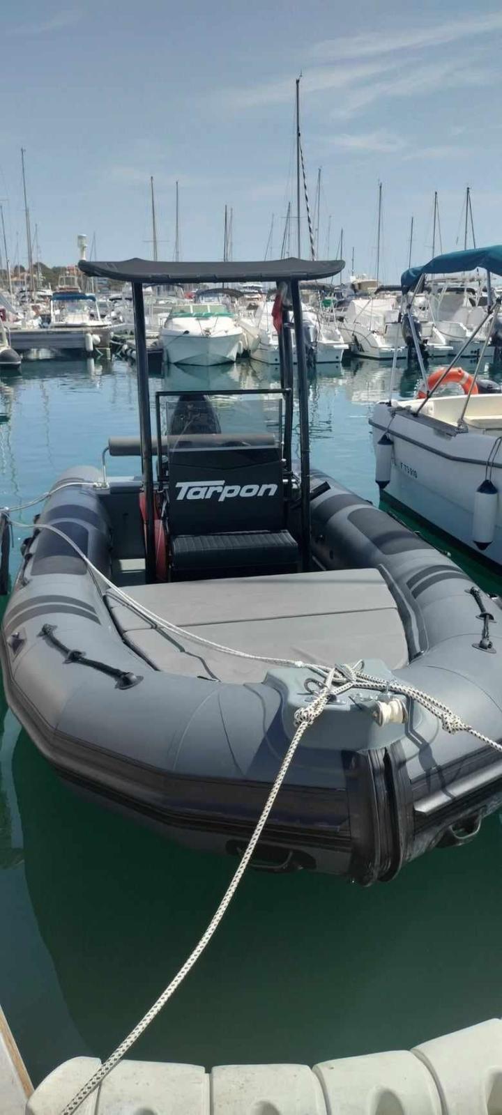 tarpon Dv62
