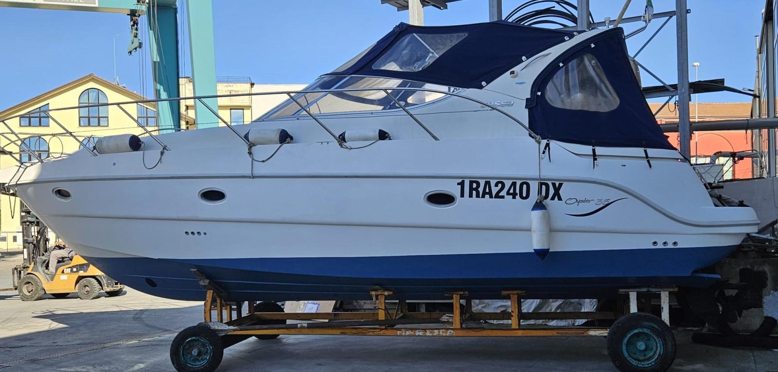 sessa marine Oyster 35