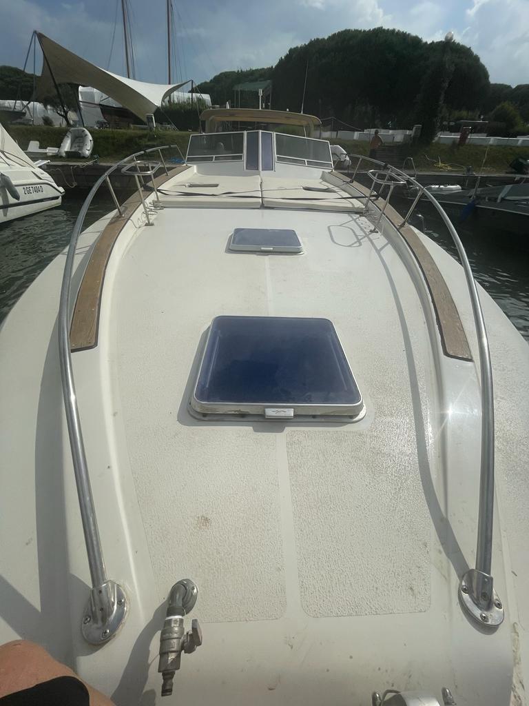 cary marine 49