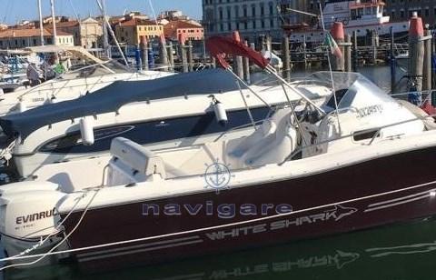 kelt White shark 248 sundeck