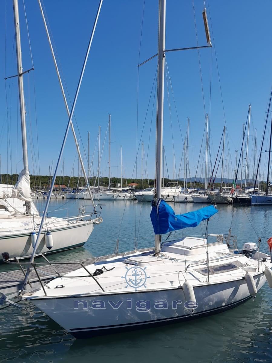 altura Edel 6