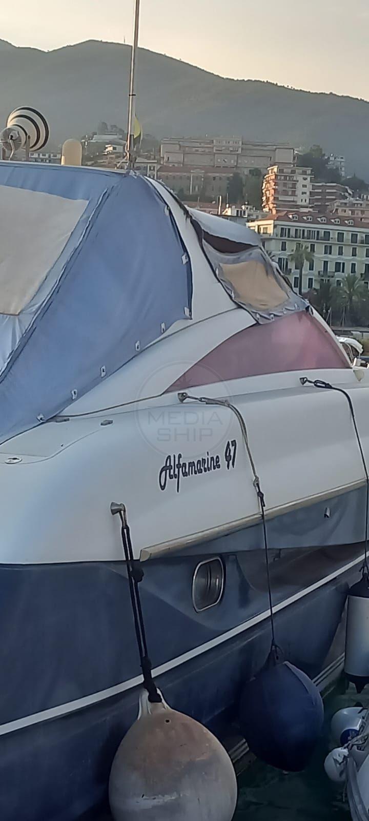 alfamarine Alfamarine 47