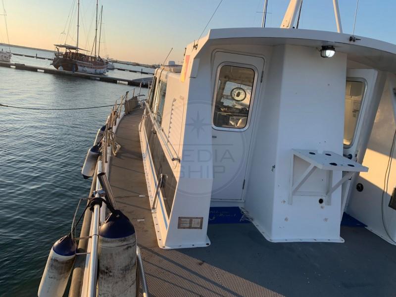 intermarine V 50