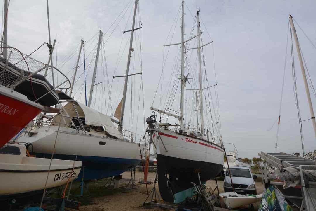 meta Oreade