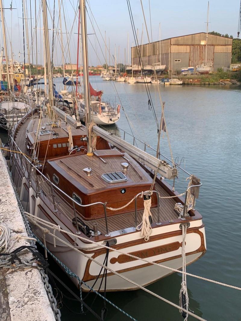 albatros deniz Albatros 49