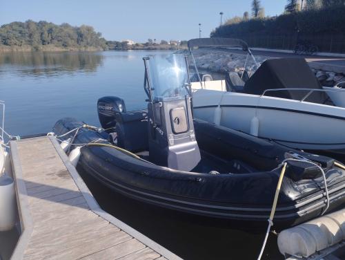 Zodiac pro 550