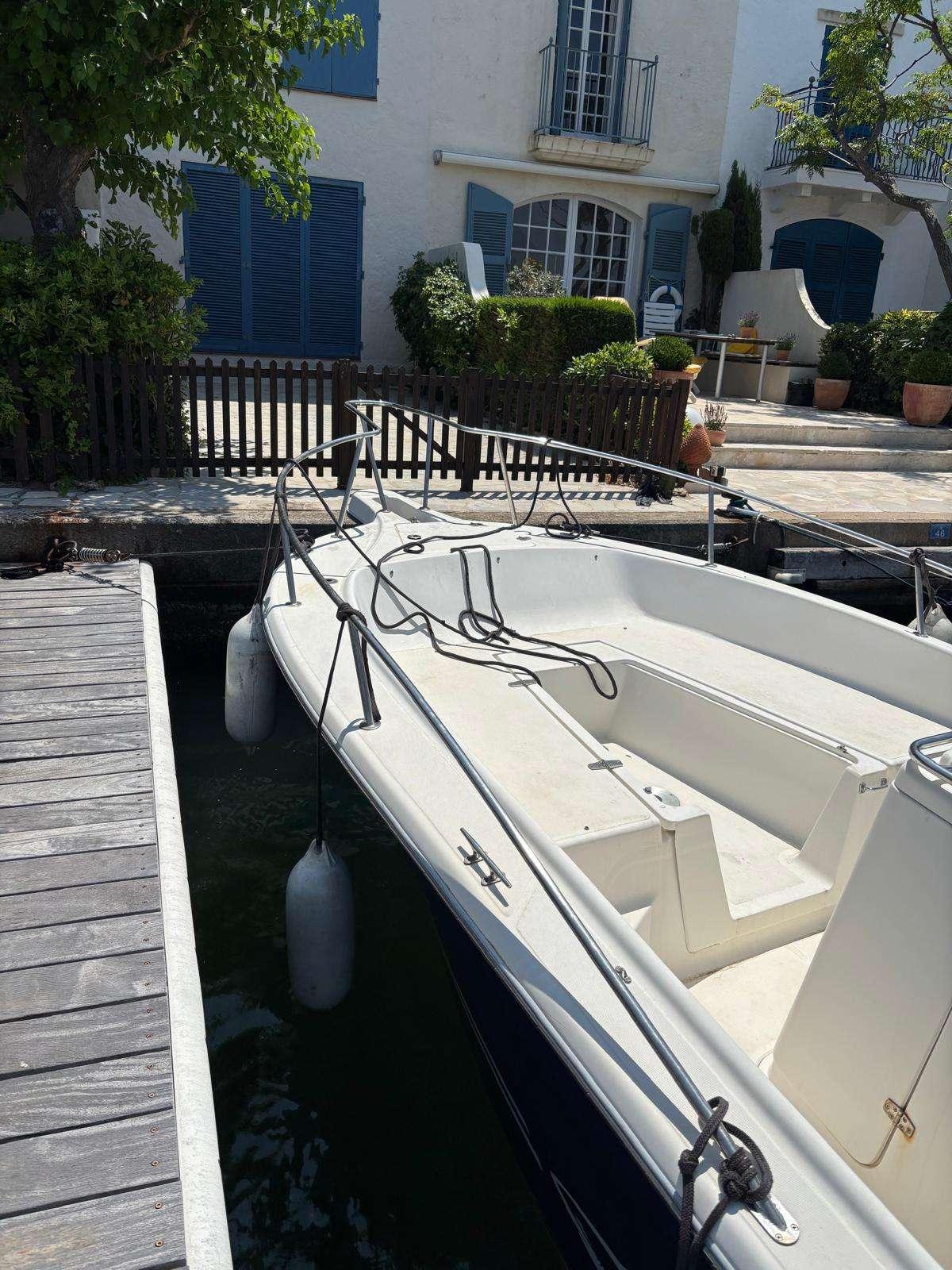 white shark White shark 225