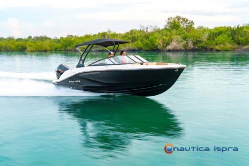 Bayliner v20