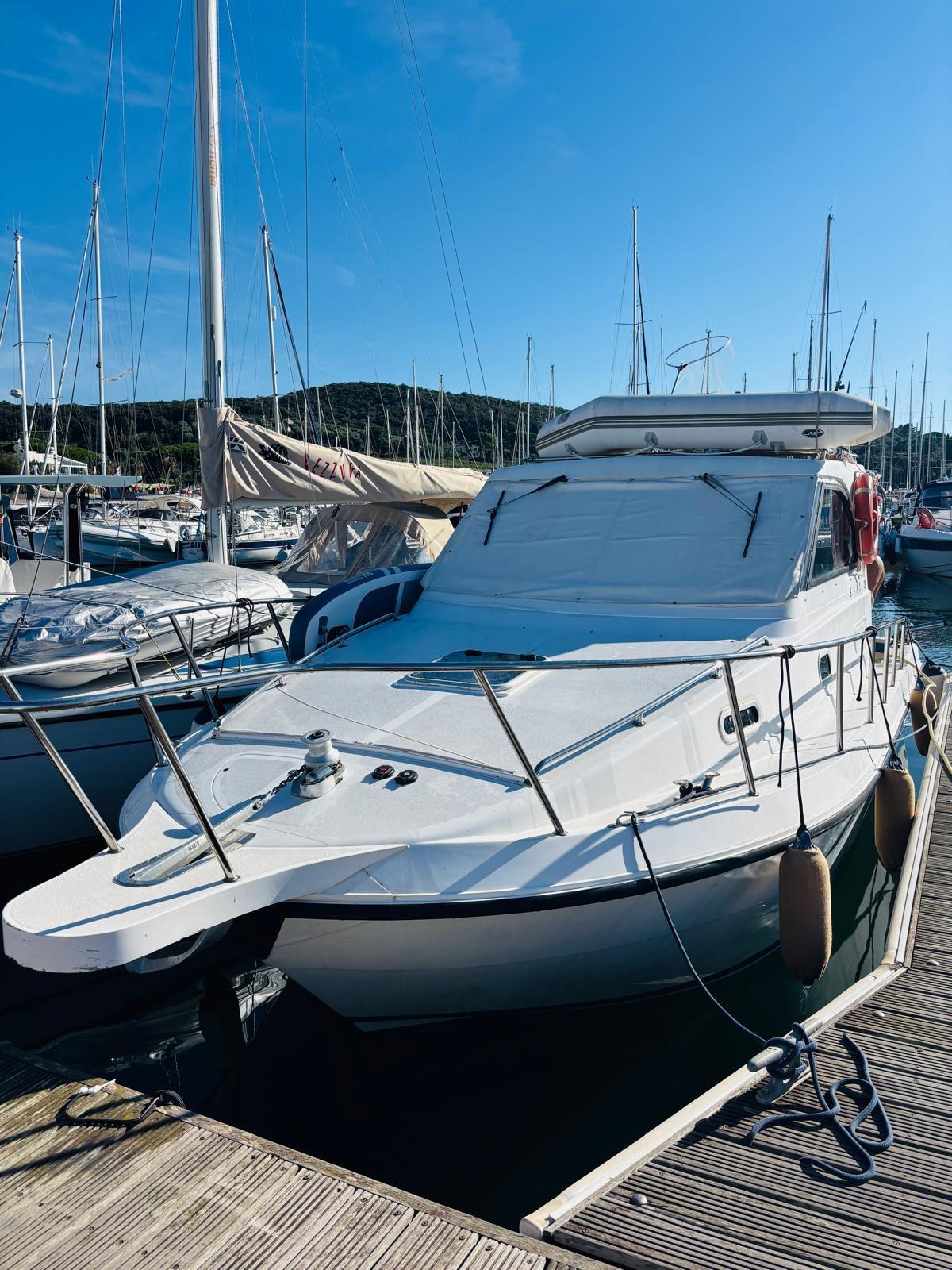 plastik Space 290 cruiser