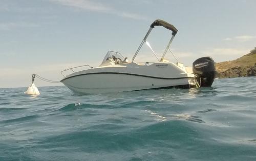 Quicksilver activ 505 open