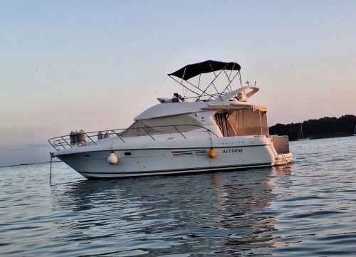 Prestige 36 fly