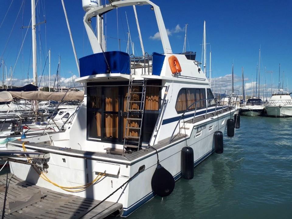 hi-star 48 fishermann