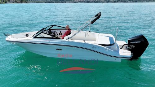 Sea ray spx 210 outboard