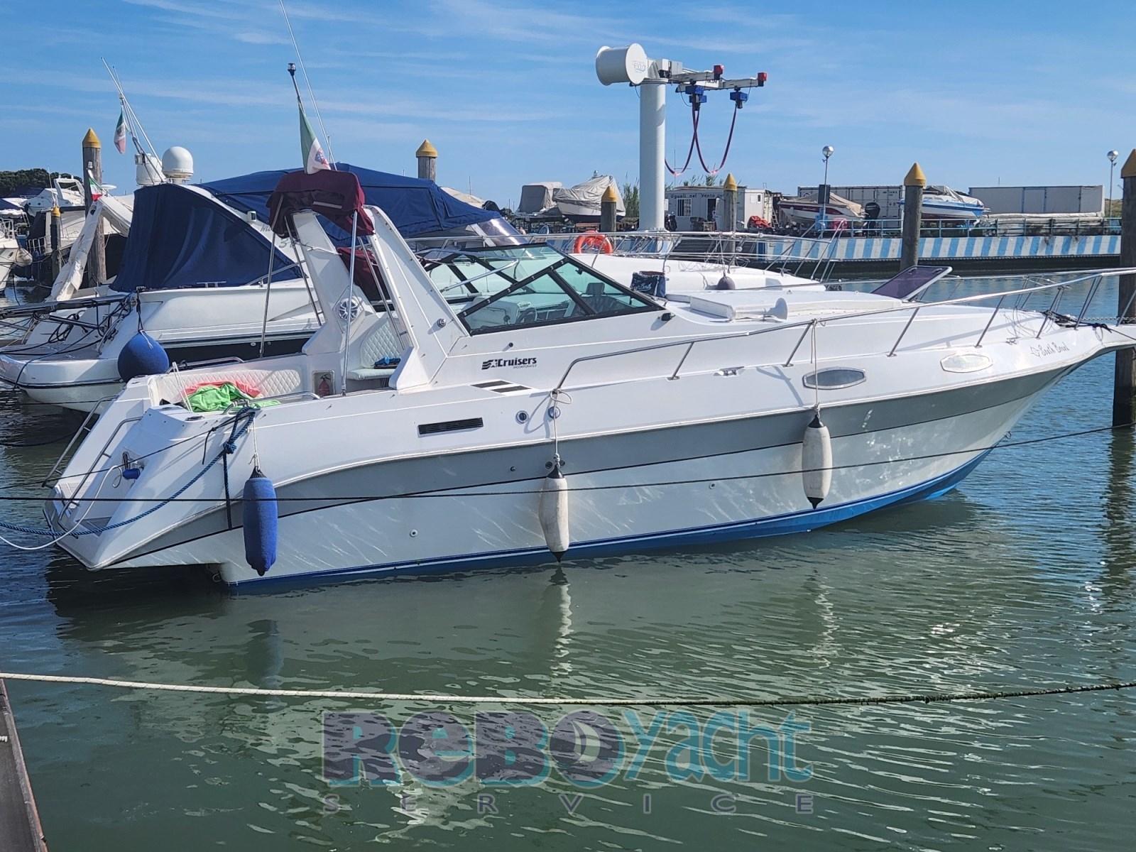 cruiser 30 rogue