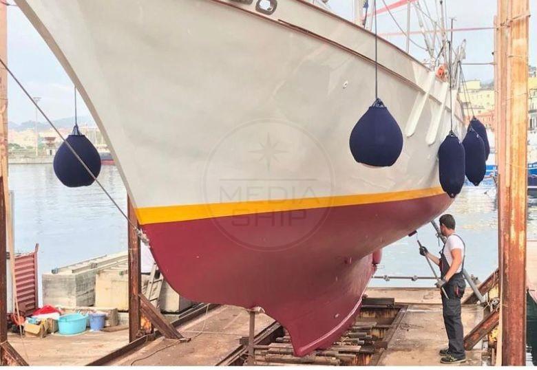 albatros deniz Albatros 49