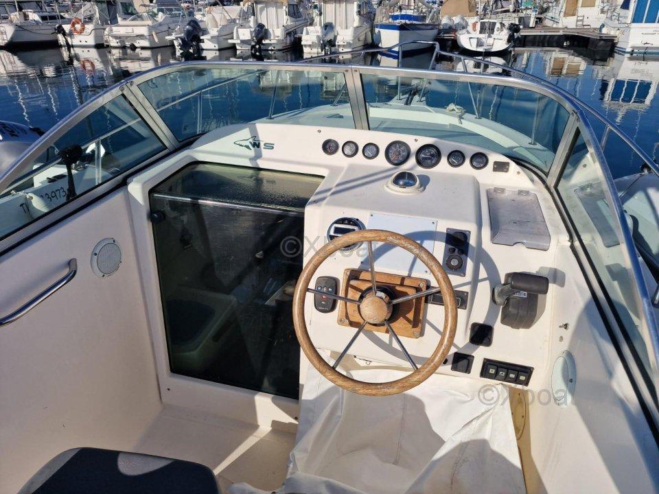 kelt White shark 237
