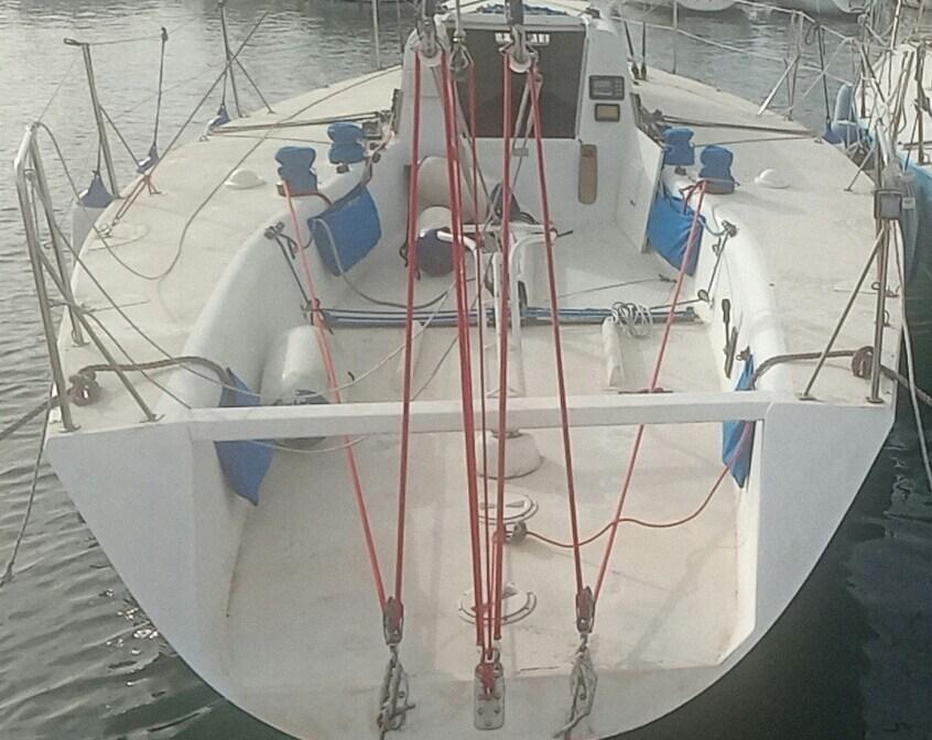 galetti 3/4 ton ceccarelli