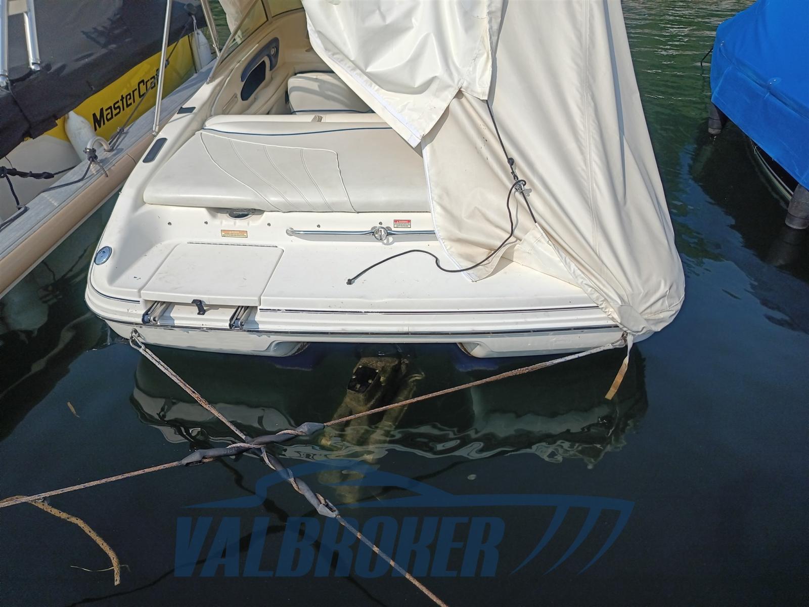 sea ray 190 br