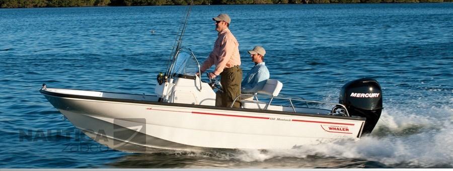 boston whaler 150 montauk