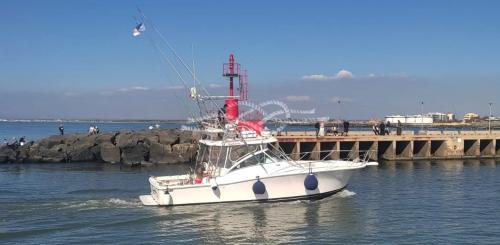 Luhrs 360 open