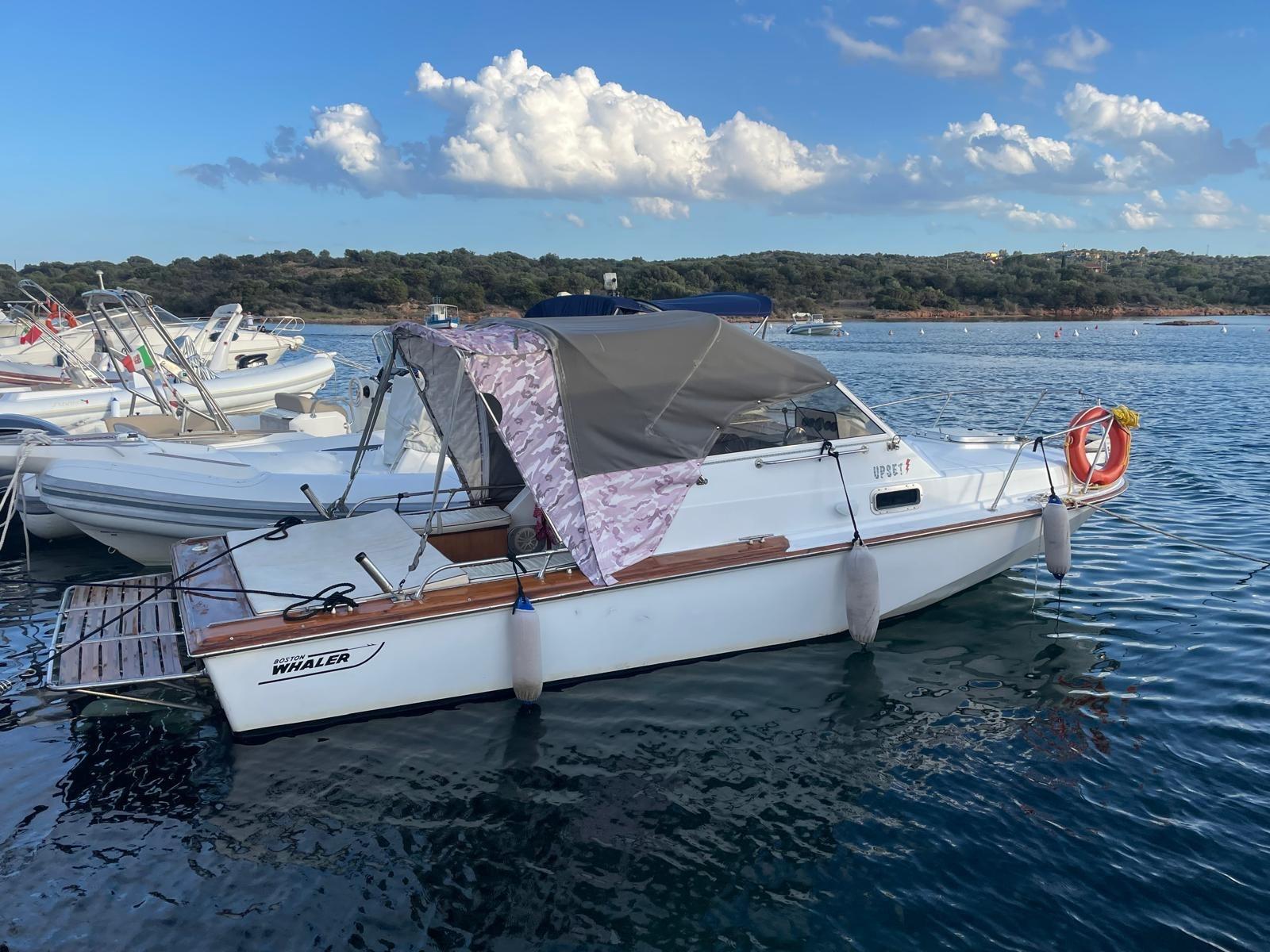 boston whaler 22 revenge