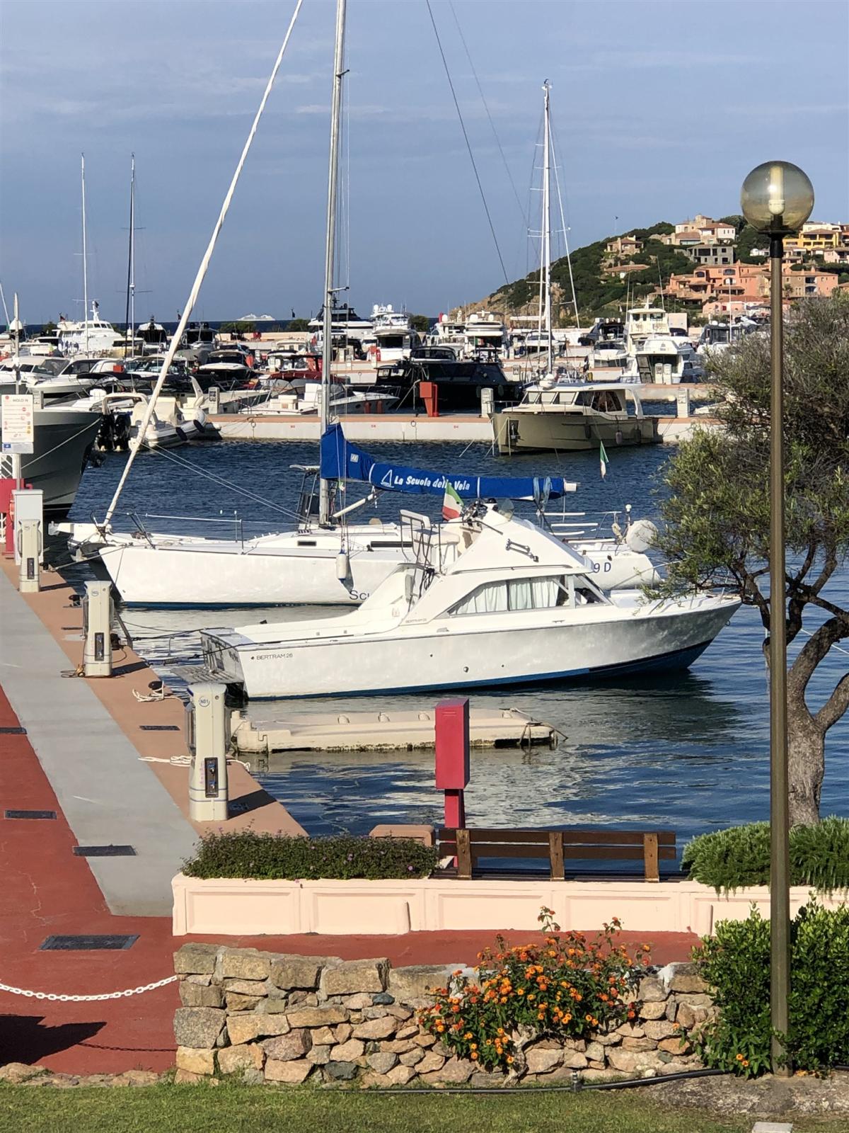 bertram yacht 26' sf