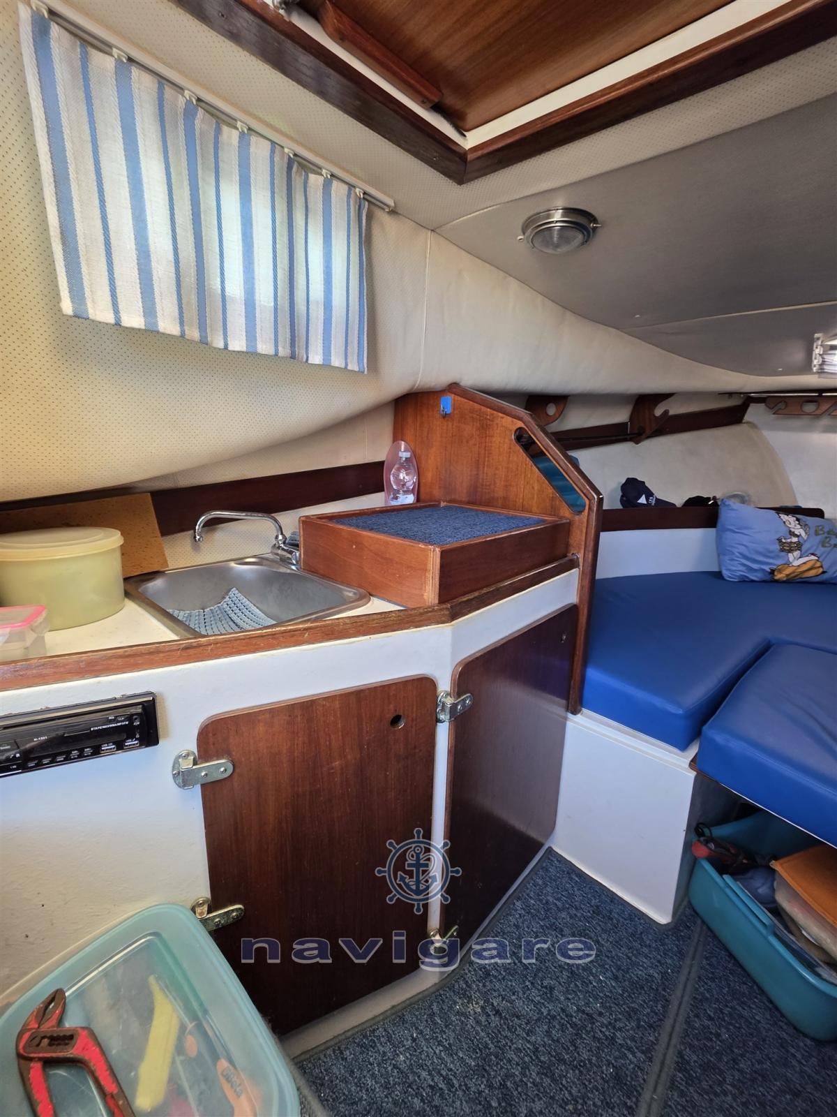 ala blu Proteo 23 fisherman