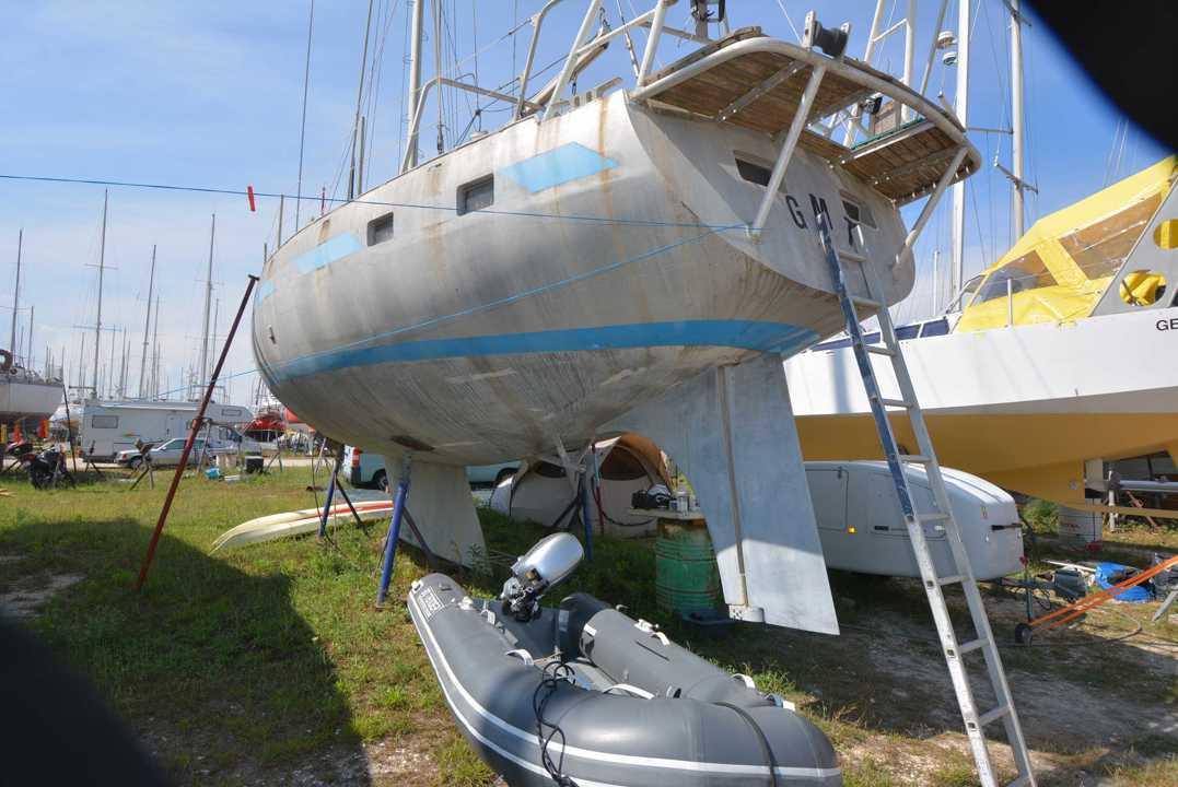 amateur Reve des tropiques