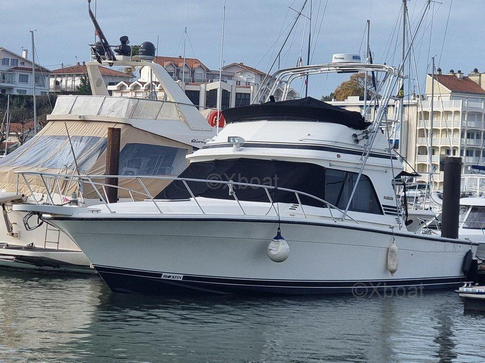 blackfin Blackfin 38 convertible