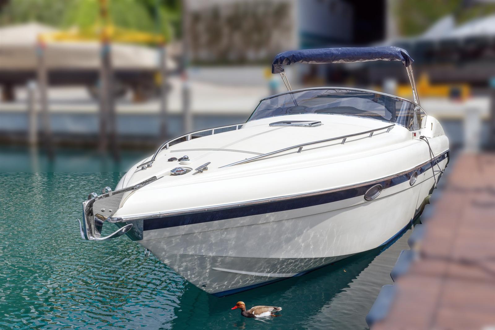 tony giugliano 30 special