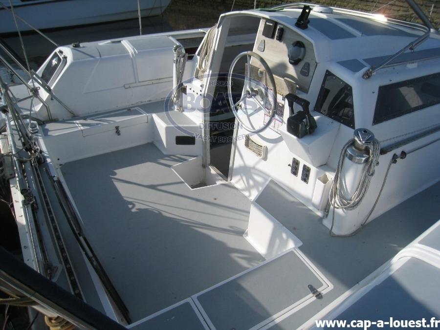 edel Edel cat 35